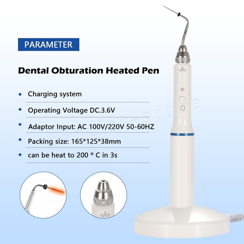 Dental-Guttapercha-Obturation-