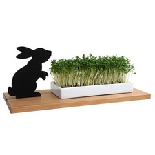 Side by Side - Keksschale