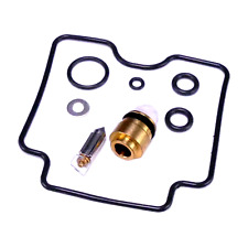 Vergaser Reparatursatz für