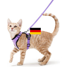 Katzengeschirr mit Leine