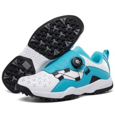 Professionell Herren Golf