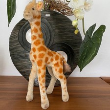 Steiff Giraffe 35 cm Knopf, Fahne Nr. nicht lesbar, wie 6335, sehr guter Zustand
