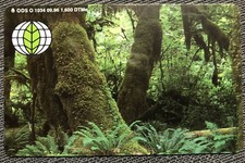 O 1034 09.96 6 DM Deutsche Umwelthilfe Urwald Dschungel nur 1600 Ex Neu* Mint***