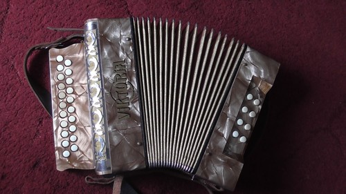 Akkordeon viktoria 8bass - akkordeon, 2