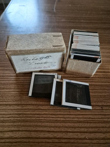 Alte glasdias dresden um - 23,