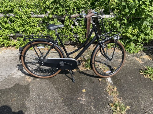 Popal daily dutch fahrrad - daily,