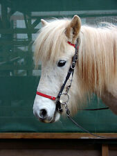 Arnos Biothane Zaumzeug