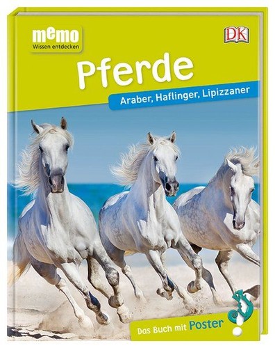 Pferde araber haflinger - araber,,