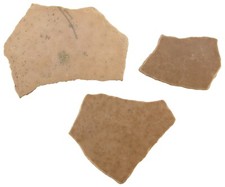 Epipaläolithikum  Seltene  verzierte Straußeneischalen  Taruma  Westsahara  5296