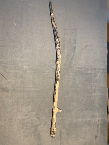 Treibholz driftwood - treibholz,
