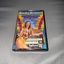 Andy Dimes spielt Welthits