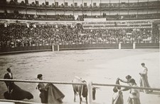 Männer Stierkampf Stier Arena