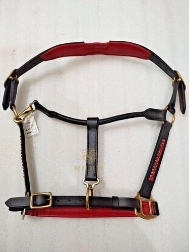 Leder pferd anatomisches - pferd,