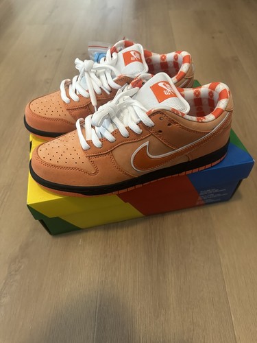 Nike dunk concepts - nike, sb