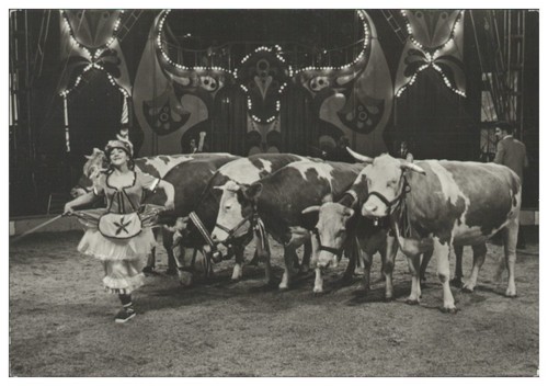 V9754 staatszirkus der ddr - staatszirkus,