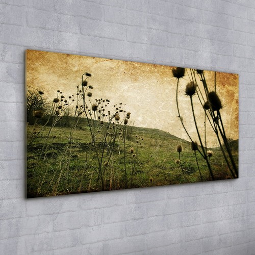 Acrylglasbild wandbild - acrylglasbild,