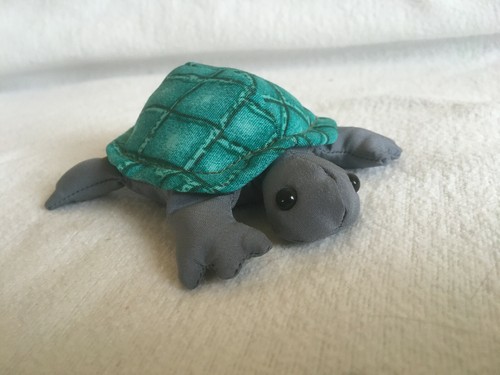 Schildkröte gemustert