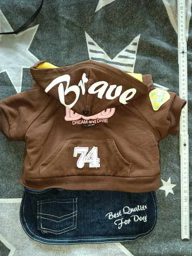 Hoodie mit röckchen - hoodie,