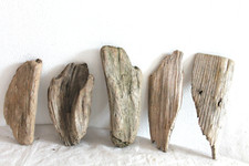 Schwemmholz Treibholz  5