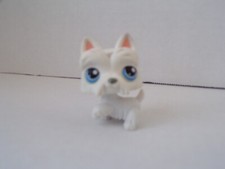 Littlest pet shop scottish - littlest,