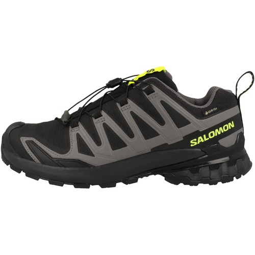 Salomon pro v9 gtx - 3d,
