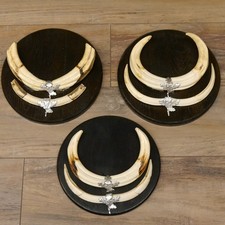 Warzenschwein 3 er Set Waffen