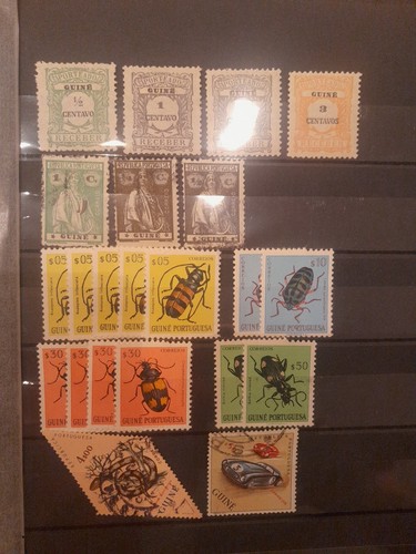 Portugal guine sammlung - guine., kl.