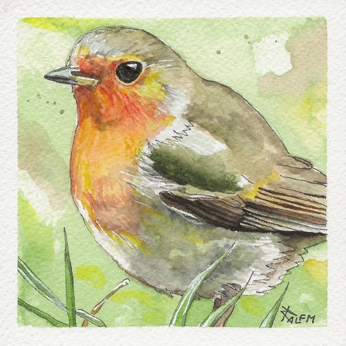 Miniatur vogel aquarell - vogel,