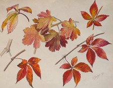 Fritz Berger Blätterstudie