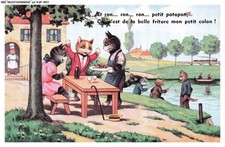 Car afap7 0352 - car-afap7-0352, -katze