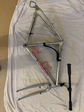 Cuadro Kuwahara Gepard JAPÓN