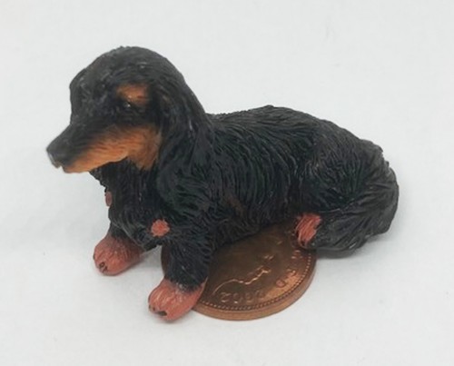 Dachshund sitzender hund - sitzender,