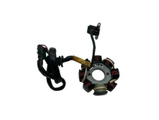 STATORE LICHTMASCHINE MAGNET