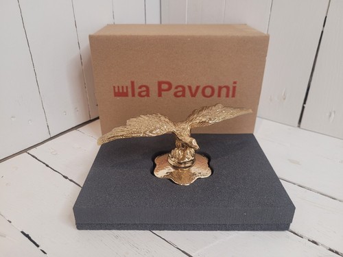 Pavoni steinadler aquila - la,