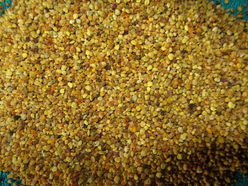 10kg deutsche blütenpollen - 10kg,