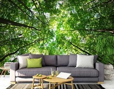 3D Grün Wald Bäume Q7953