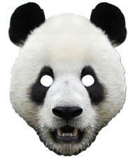 Panda Tier 2D Karten Party
