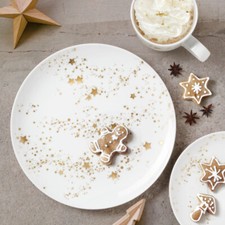 Seltmann Weiden Liberty Golden Stars Porzellan Geschirr