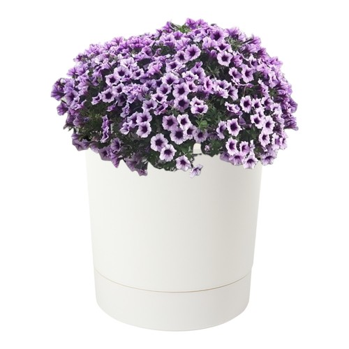 Blumentopf mit untersetzer - mit,