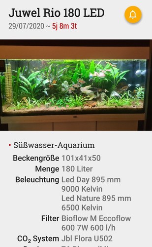 Aquarium komplett juwel - juwel, rio