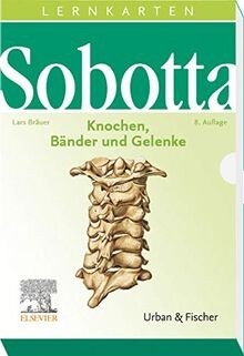 Sobotta lernkarten knochen - sobotta,