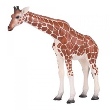Mojo 381033 Giraffe Weibchen