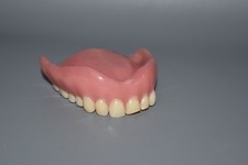 Lehrmodell Zahnprothese