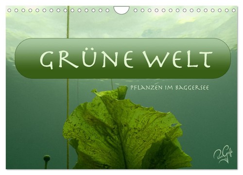Baggersee die grüne welt - baggersee,