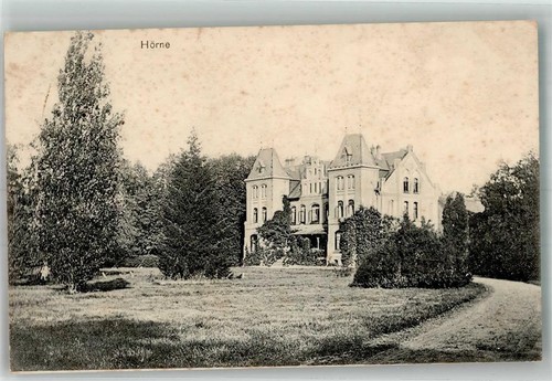 13998799 2161 hoerne - 2161,