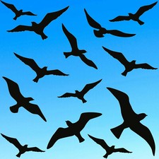 13x vogel aufkleber - 13x,