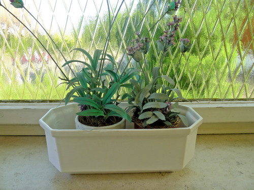 übertopf blumenkasten - Übertopf,