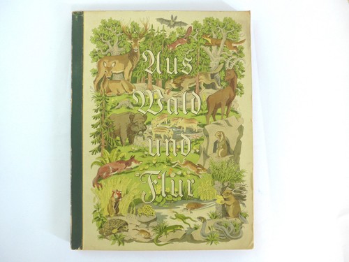 Aus wald und flur tiere - aus,