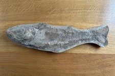 Versteinerter fisch 35 x - versteinerter,