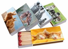 XL Streichhölzer 250 Stück -